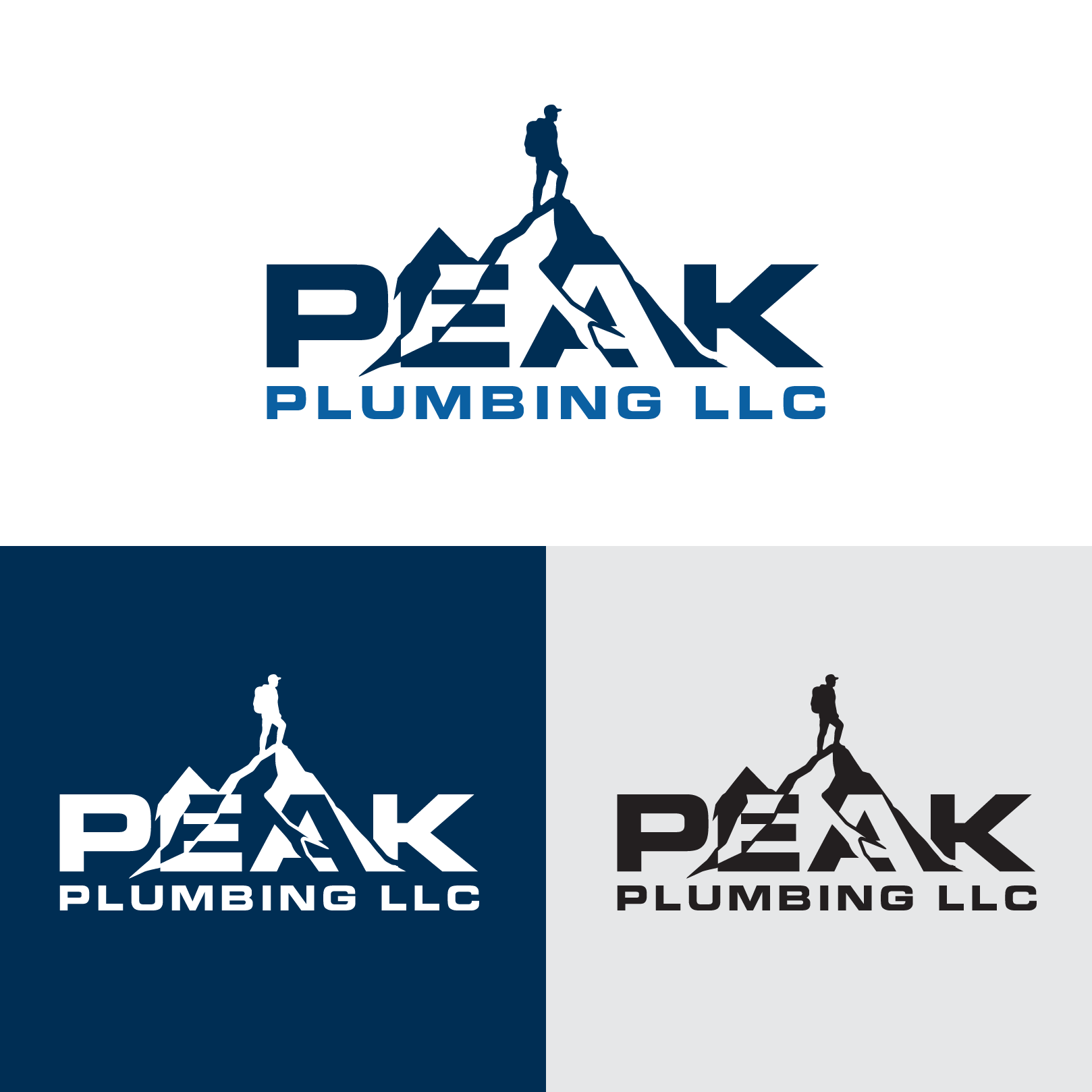 Logo Design by Blesign for this project | Design #37585817