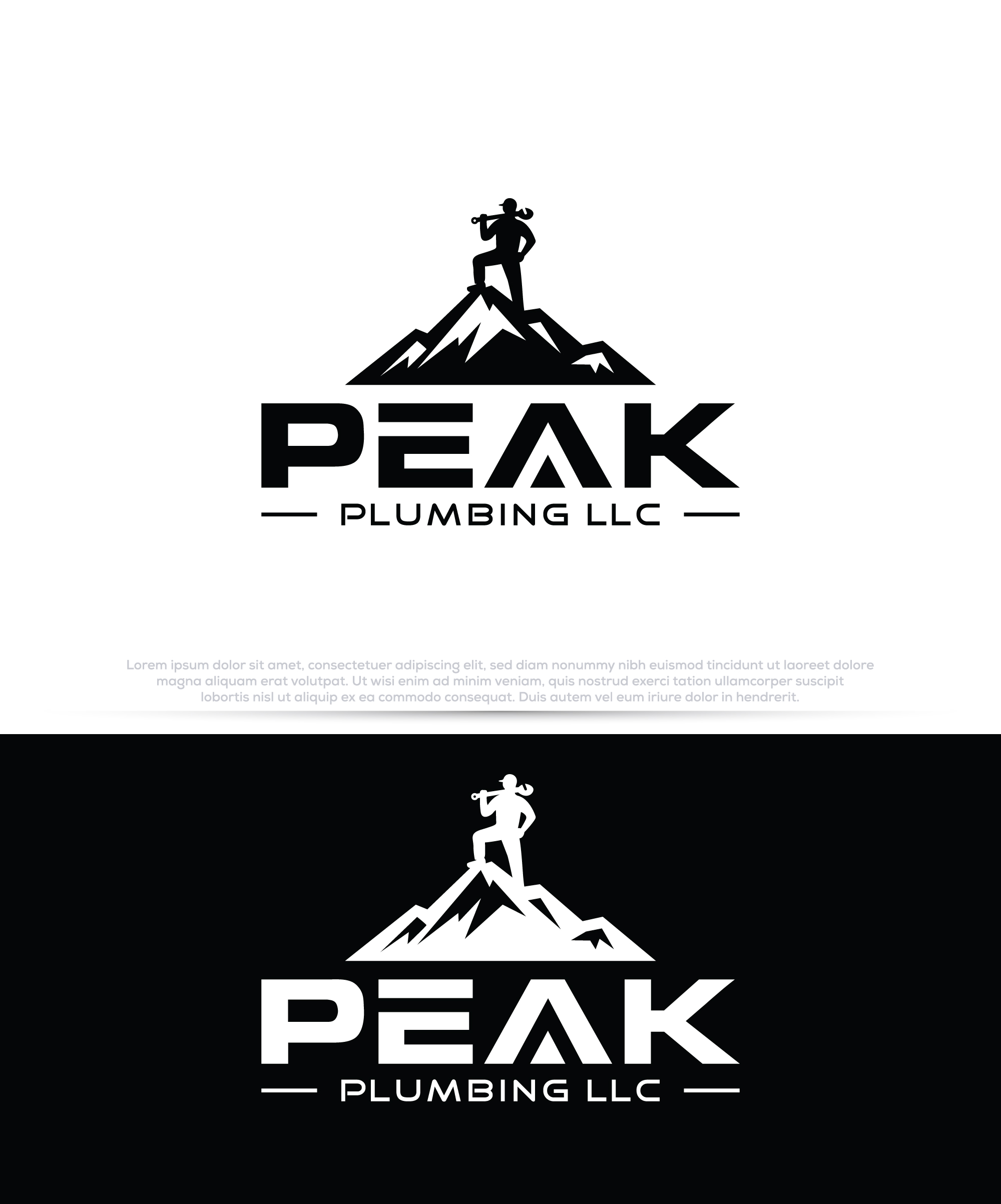 Logo Design by InkPilot_Studio™ for this project | Design #37586128