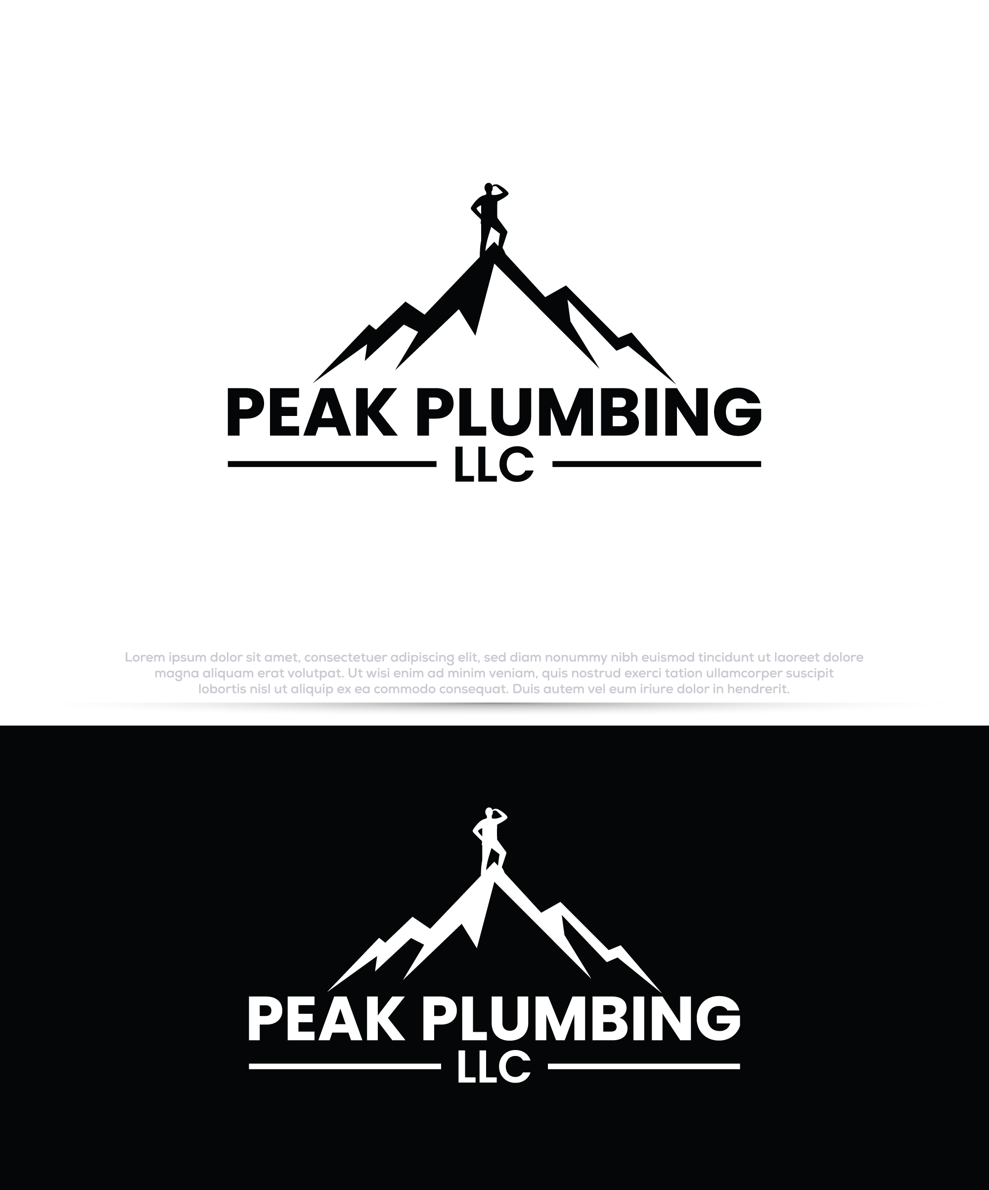 Logo Design by InkPilot_Studio™ for this project | Design #37586139