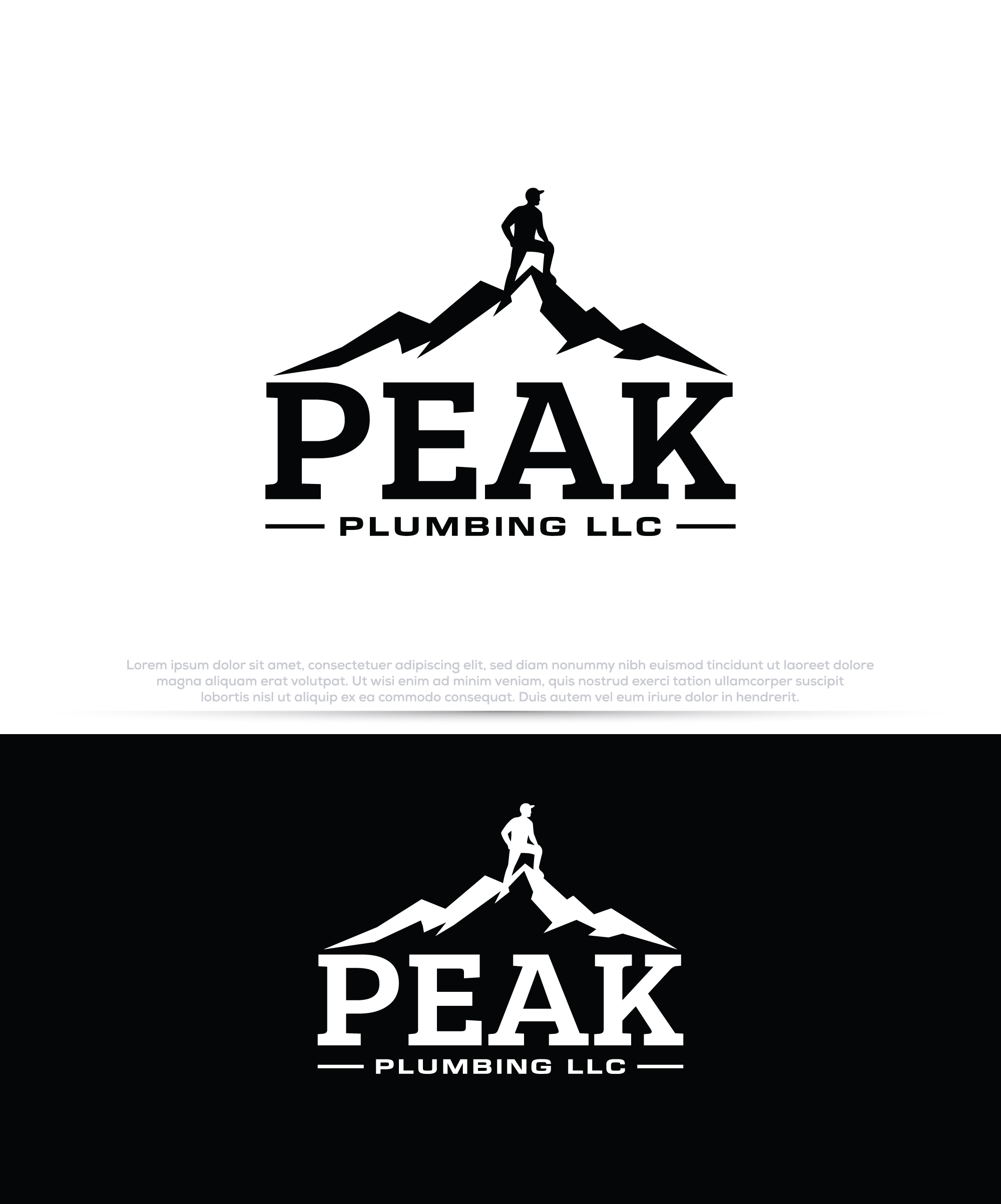 Logo Design by InkPilot_Studio™ for this project | Design #37586150