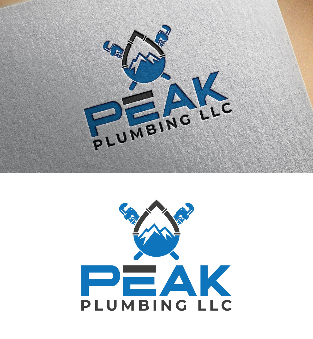 Logo Design by Alex75 for this project | Design #37596198