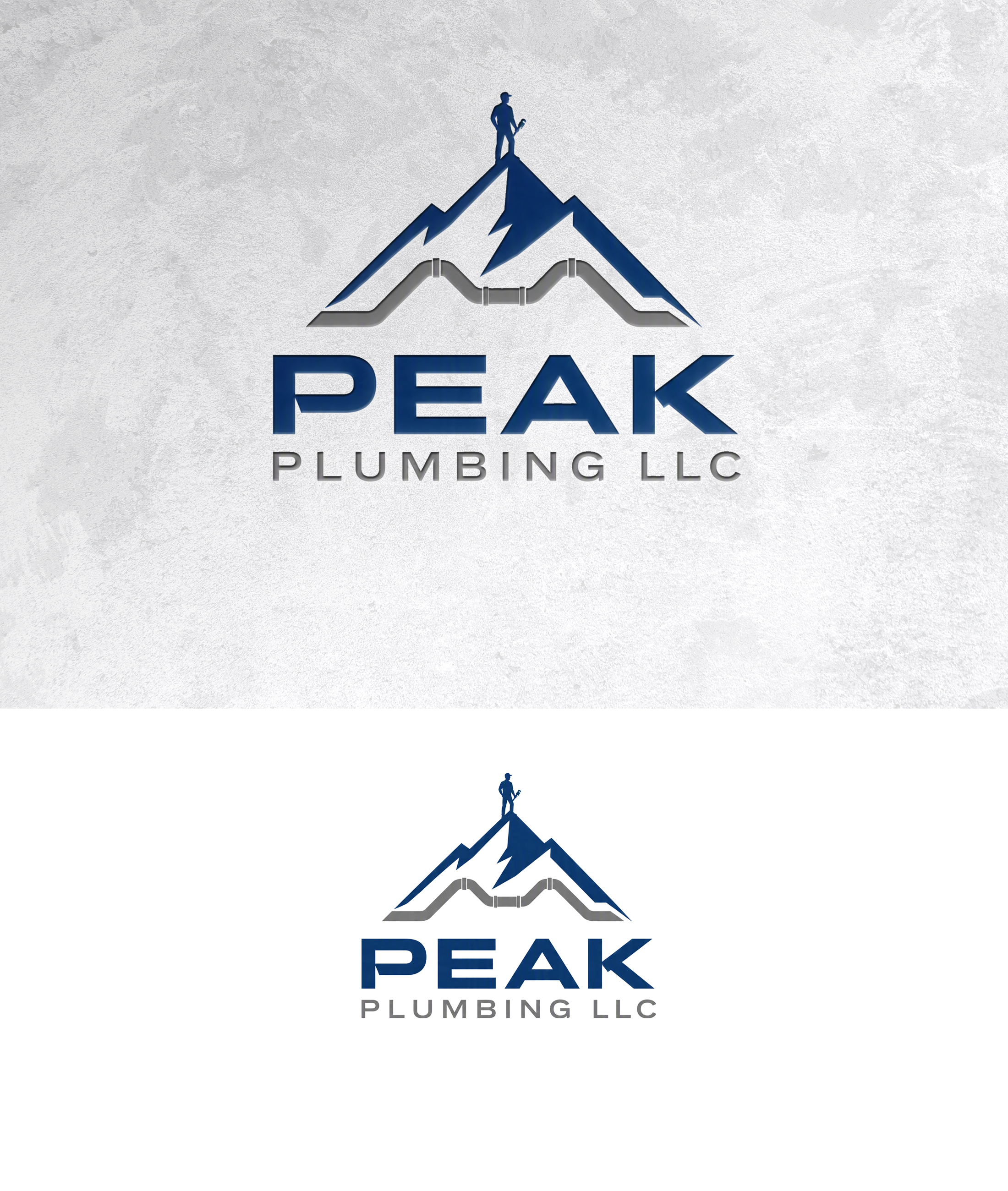 Logo Design by zamdi for this project | Design #37605987