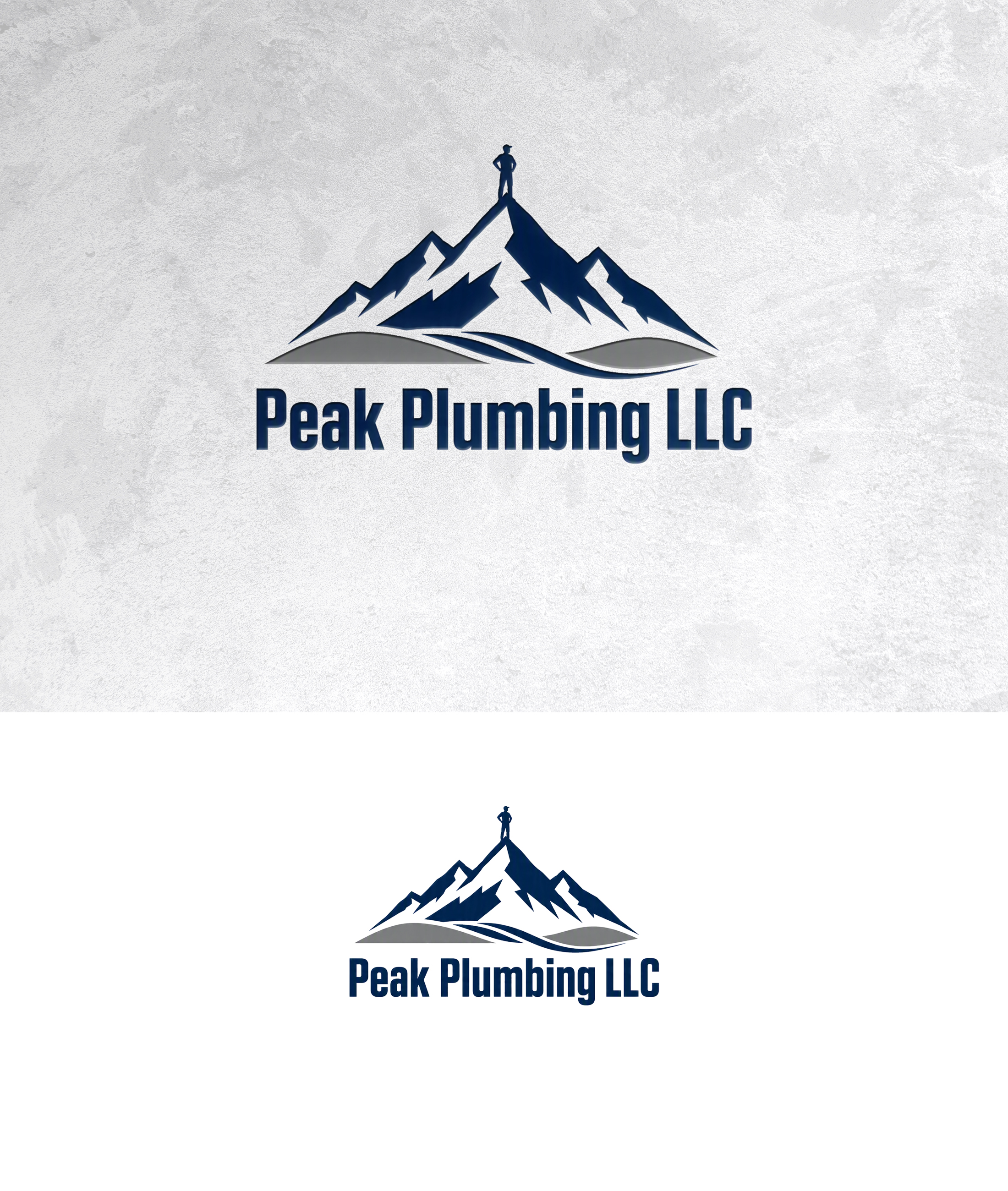Logo Design by zamdi for this project | Design #37605988