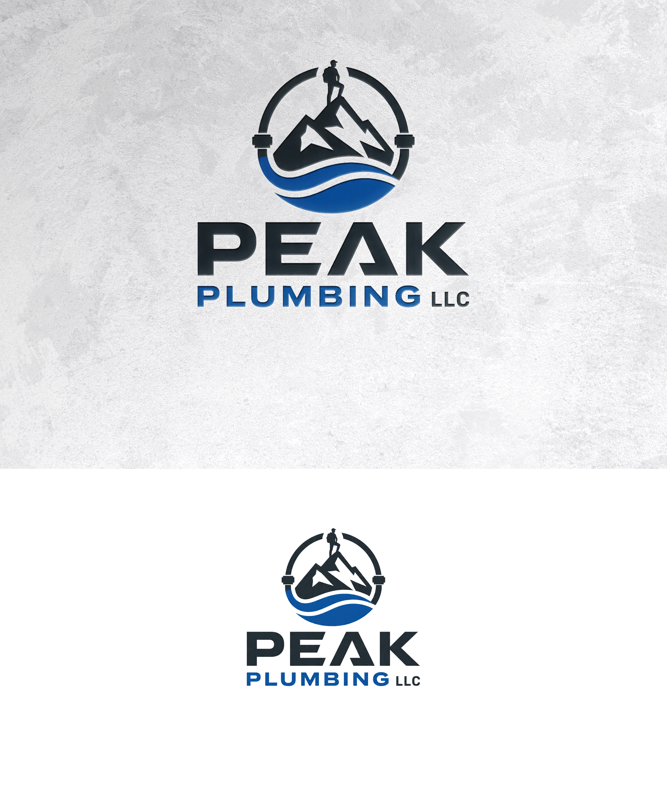 Logo Design by zamdi for this project | Design #37605989