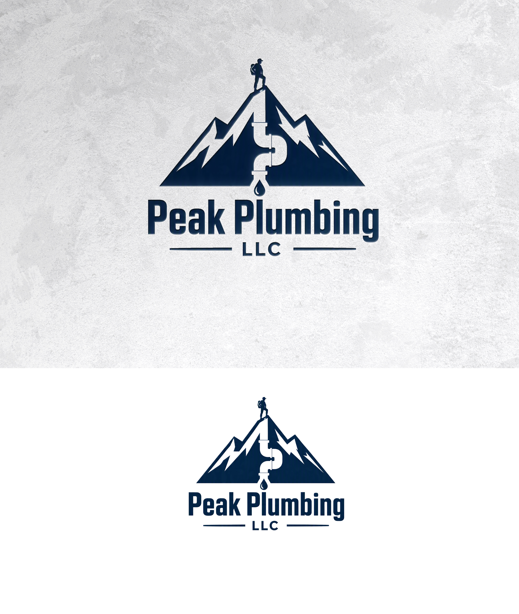 Logo Design by zamdi for this project | Design #37605990