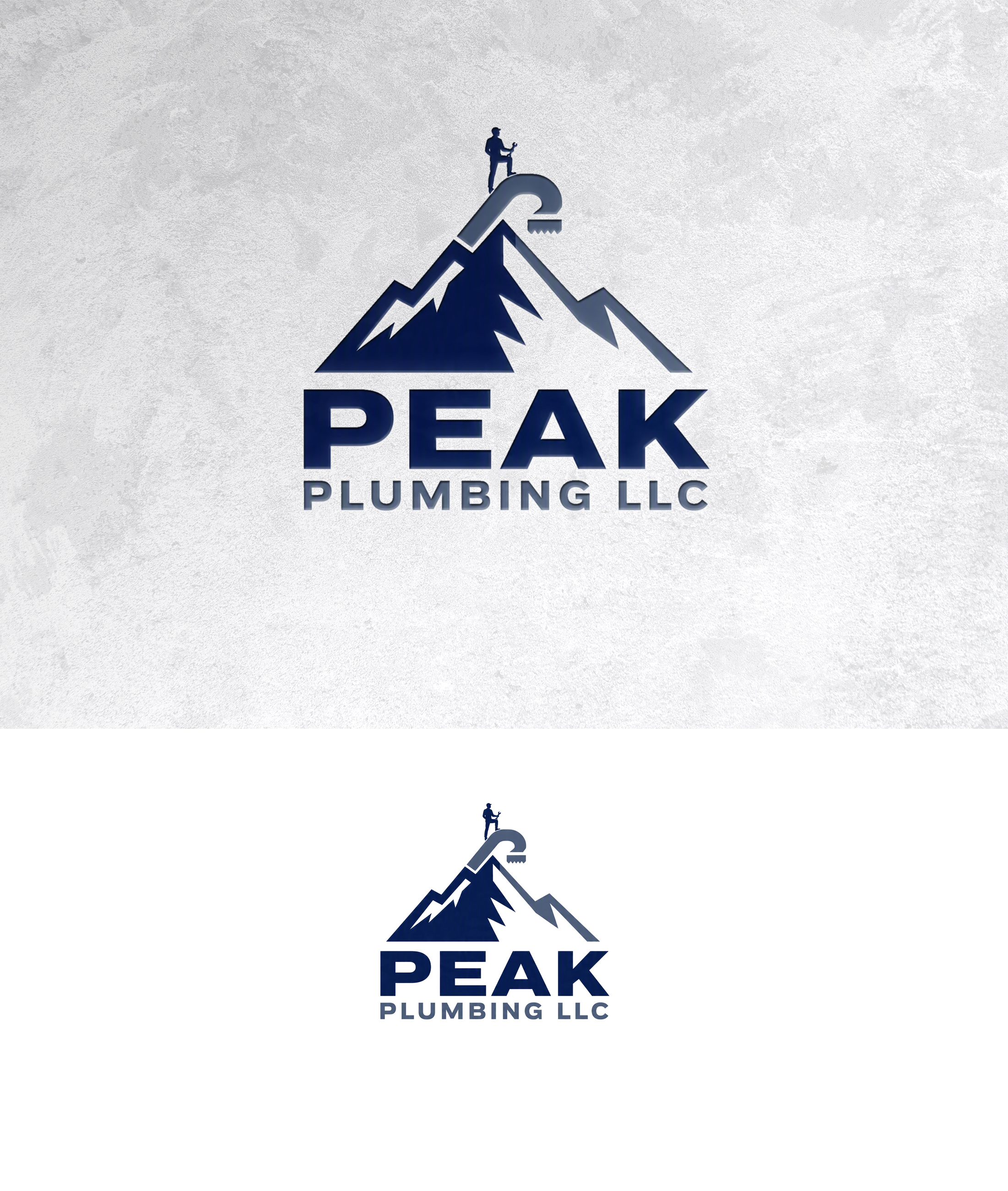 Logo Design by zamdi for this project | Design #37605991