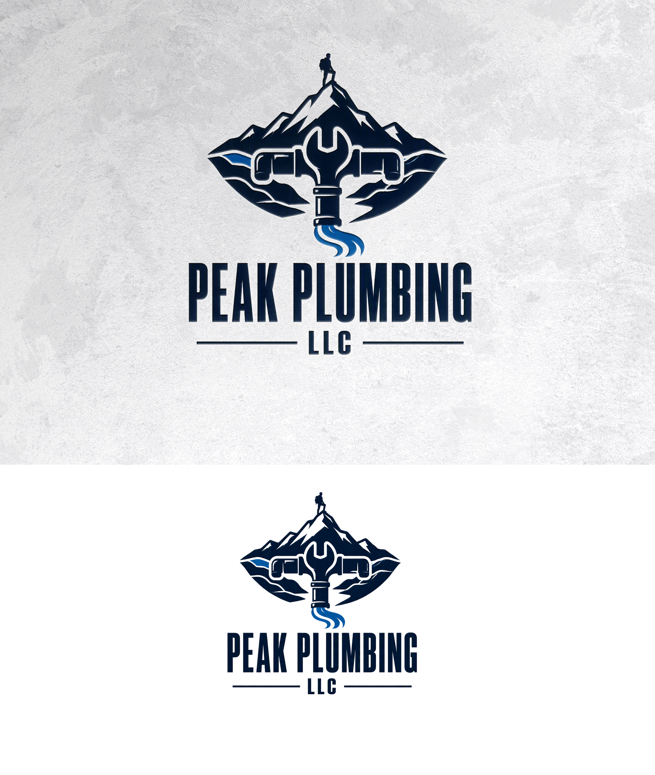 Logo Design by zamdi for this project | Design #37605992