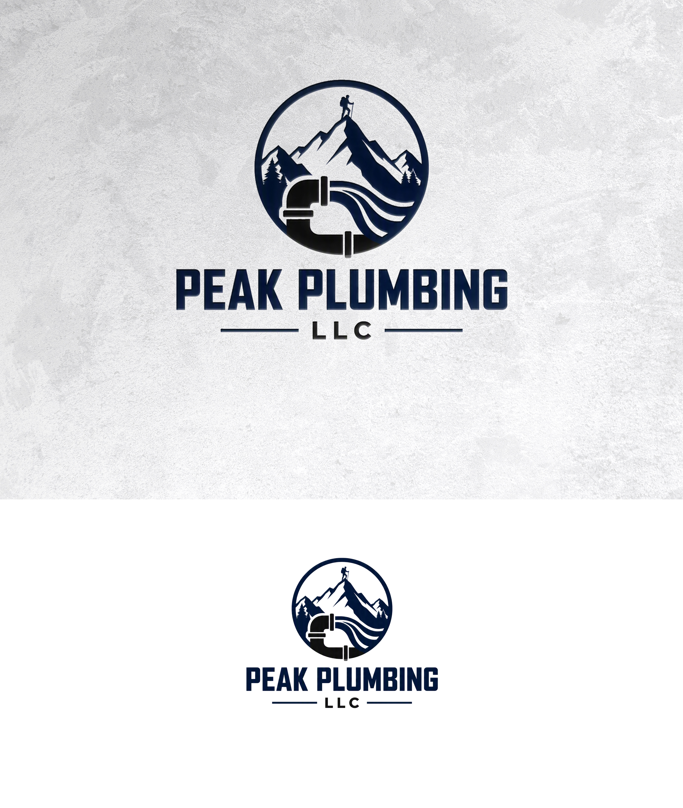 Logo Design by zamdi for this project | Design #37605993