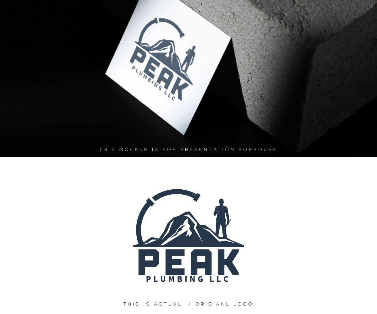 Logo Design by Ansh Design for this project | Design #37587869