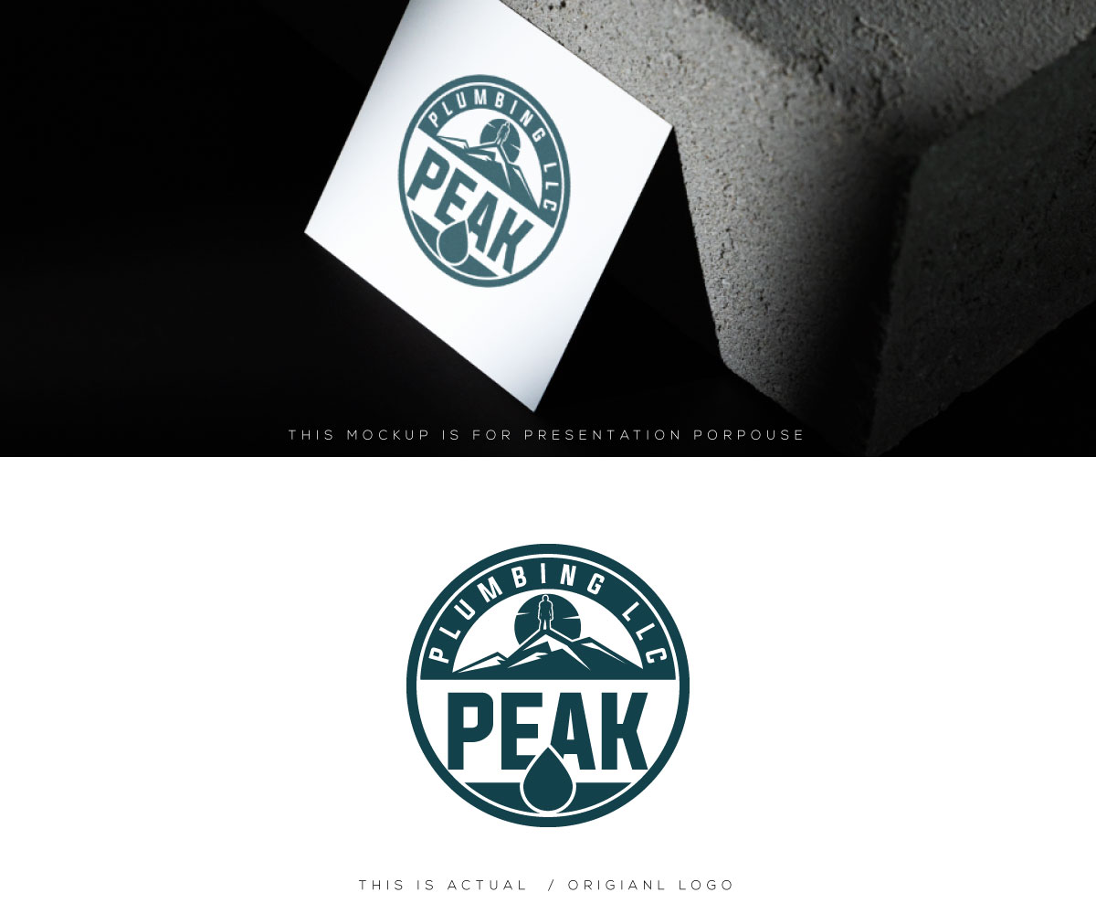 Logo Design by Ansh Design for this project | Design #37587872