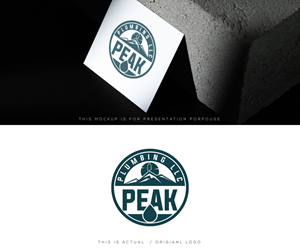 Logo Design by Ansh Design for this project | Design: #37587872