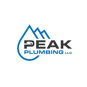 Logo Design by geni