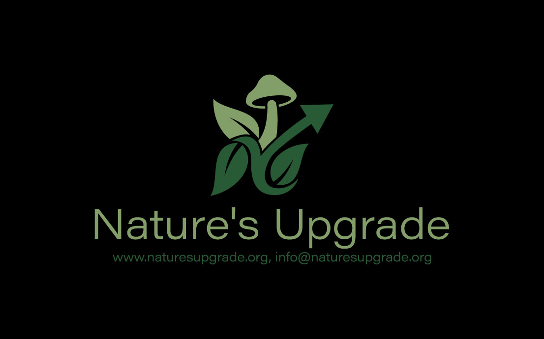 Logo Design by belayat733 for this project | Design #37590985