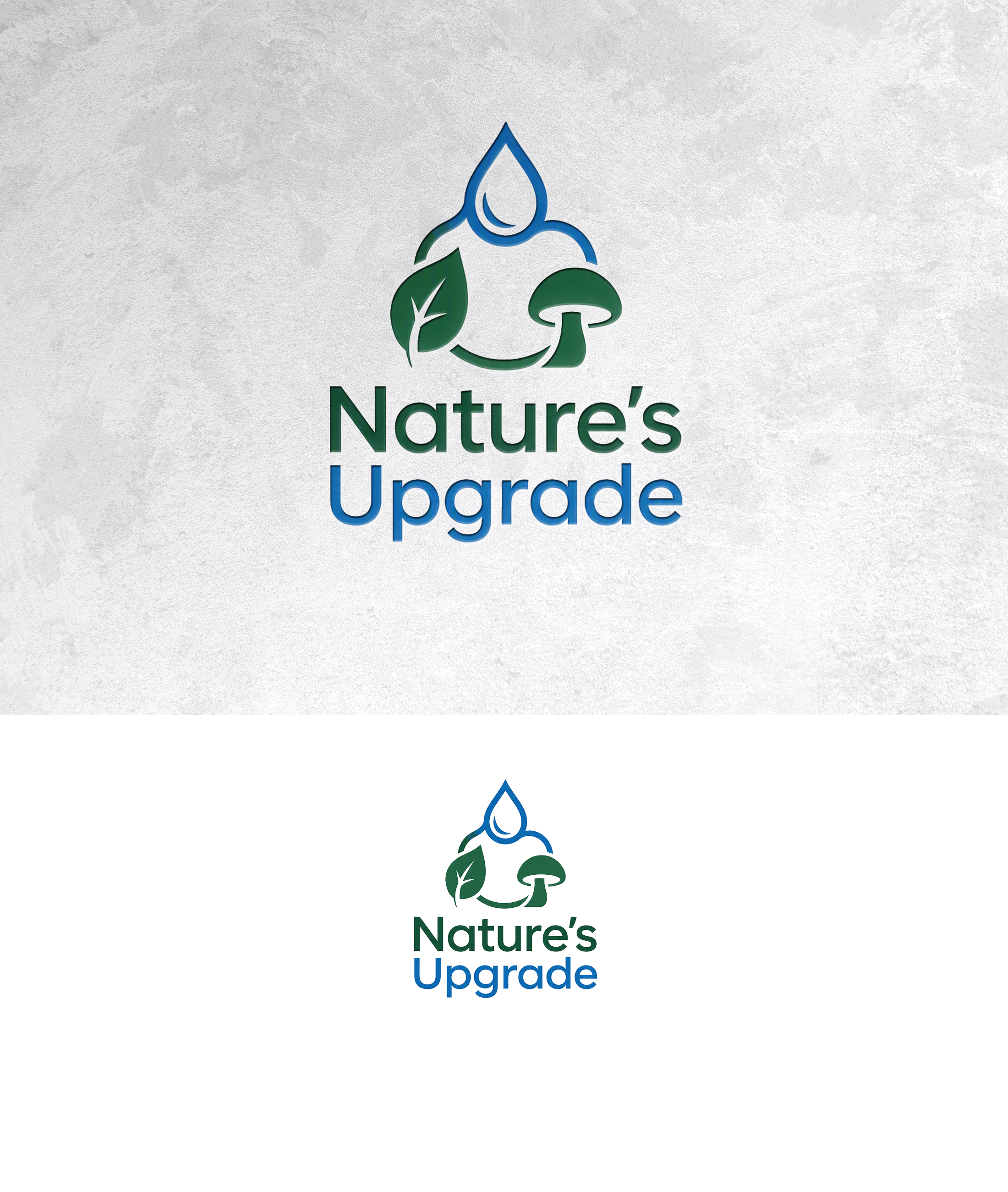 Logo Design by zamdi for this project | Design #37604226