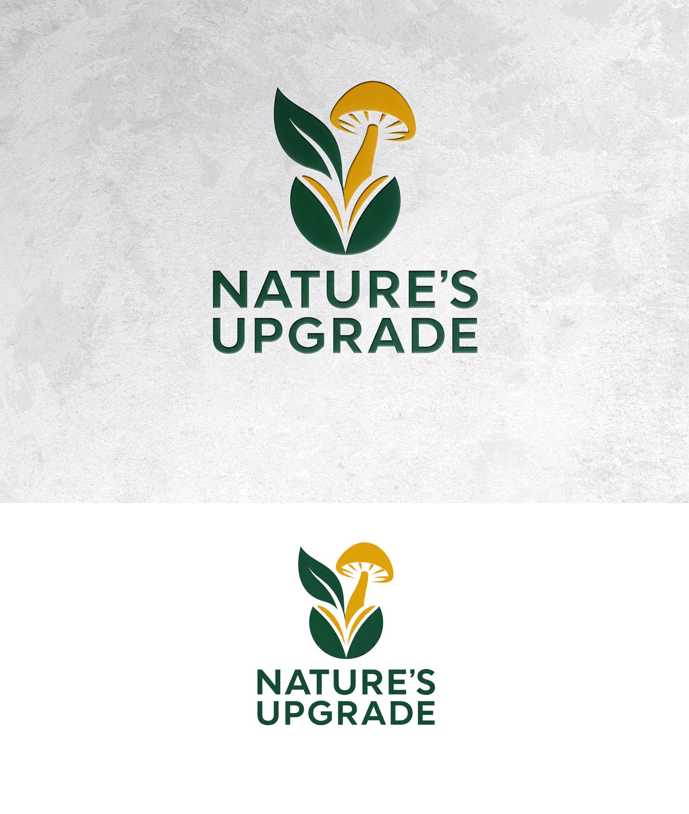 Logo Design by zamdi for this project | Design #37604228