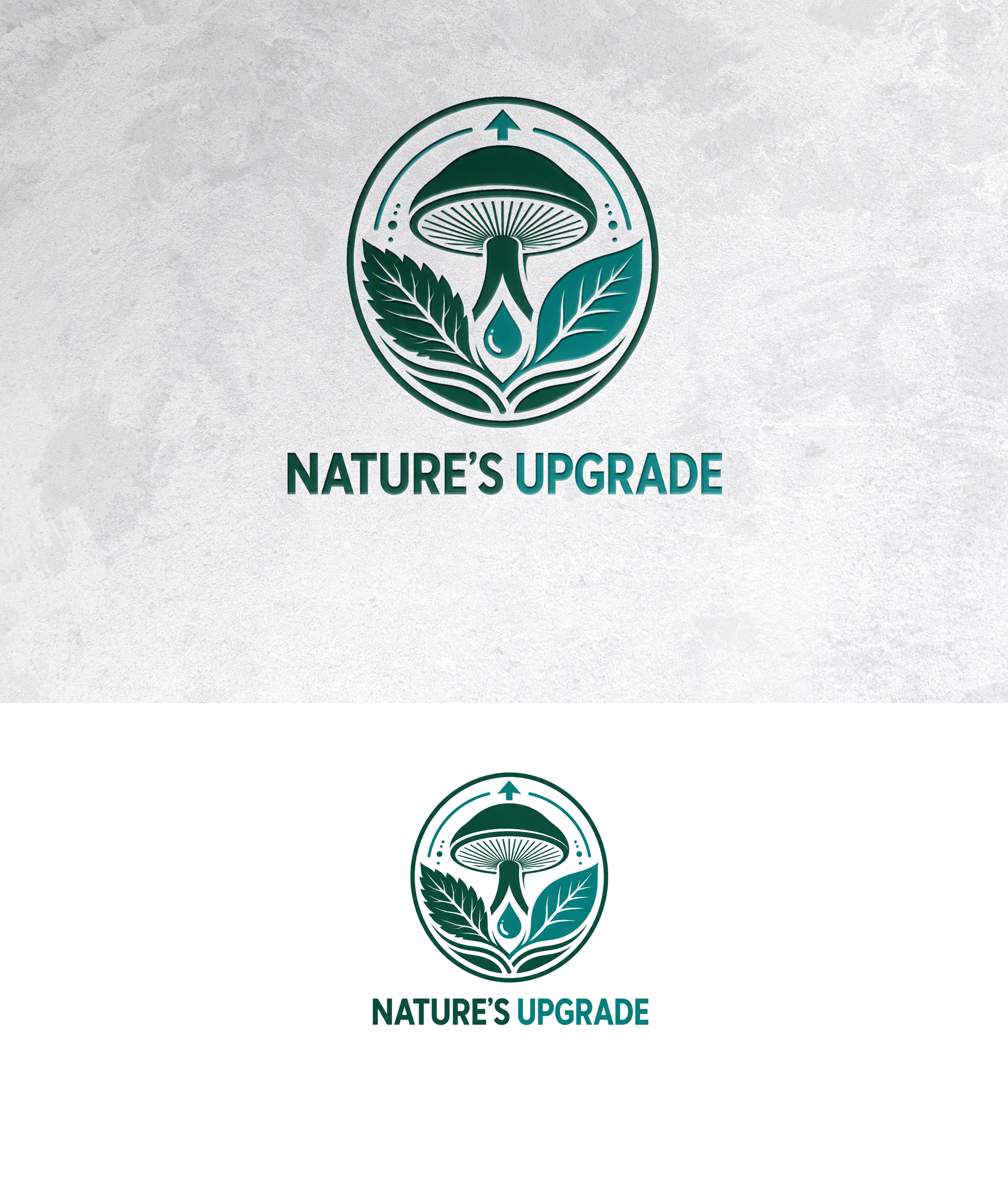 Logo Design by zamdi for this project | Design #37604232
