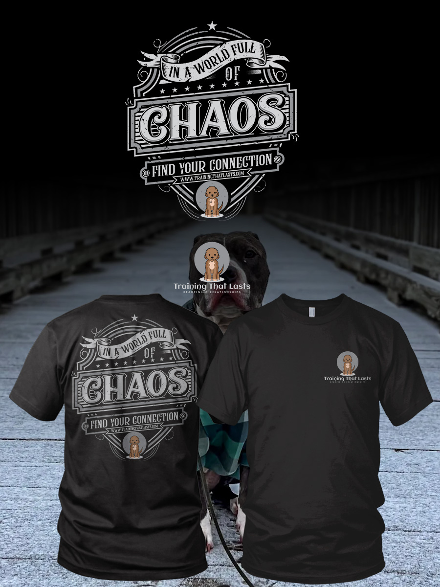 T-Shirt-Design von HNS Graphic für Training That Lasts | Design #37612154