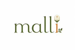 Logo Design by Buddhika Ishan