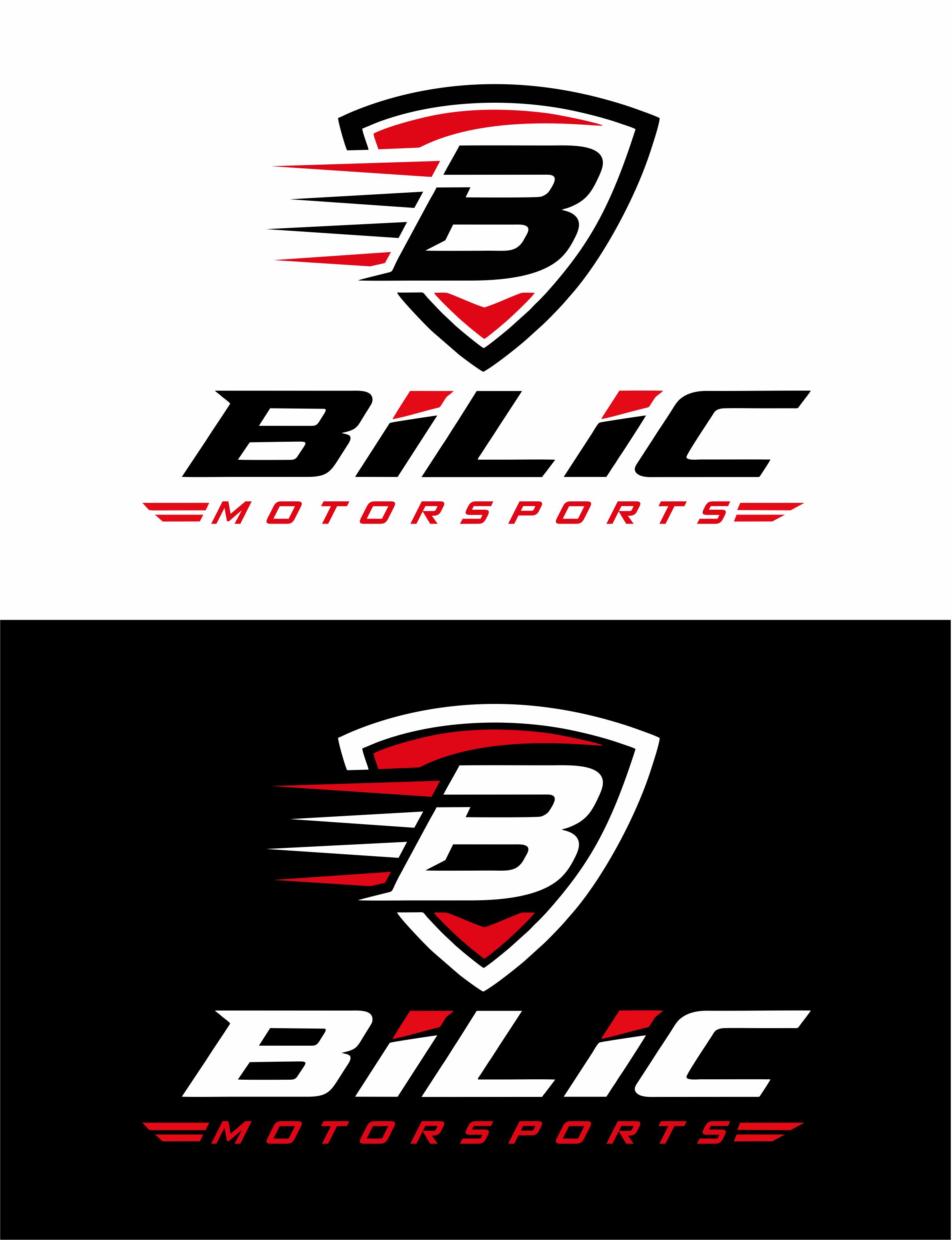 Logo Design by Borago for Blue Star Charters & Tours, Inc. | Design #37651288
