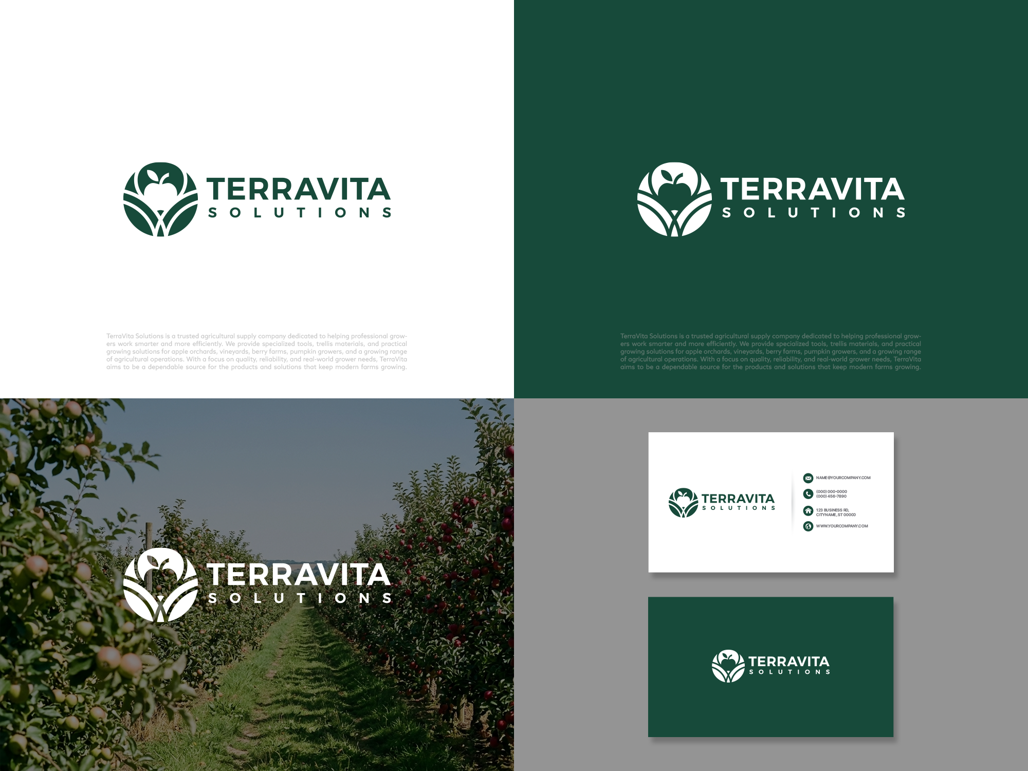 Logo Design by COLOUR CREATIVE for TerraVita Solutions | Design #37623994