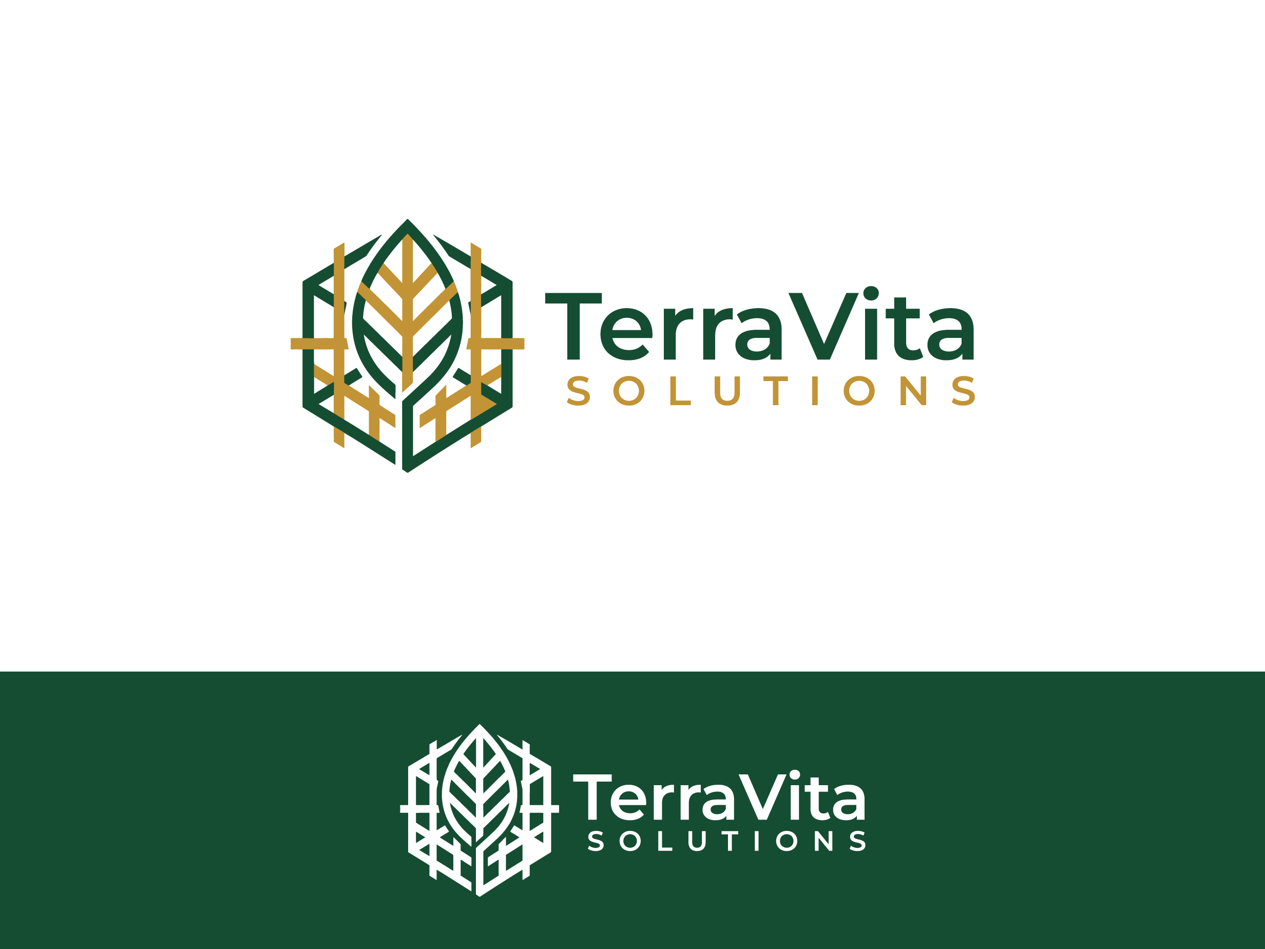 Logo Design by yozdesign for TerraVita Solutions | Design #37613337
