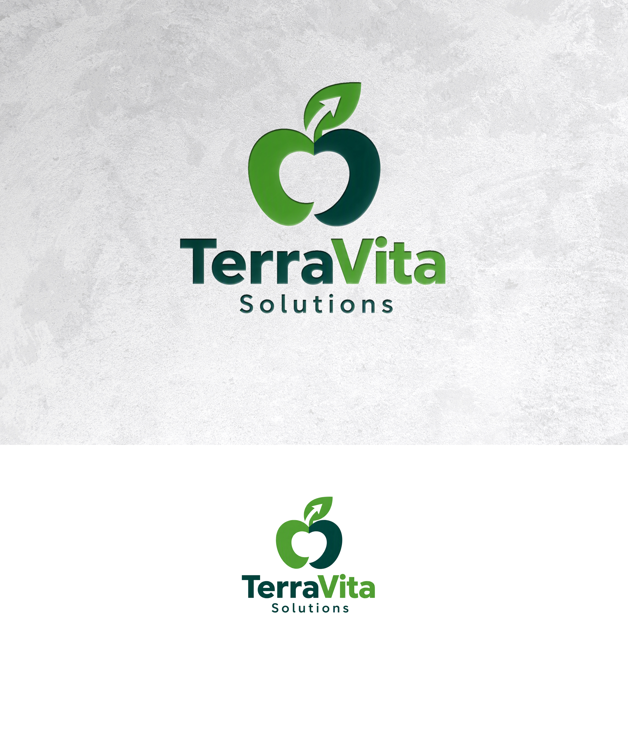Logo Design by zamdi for TerraVita Solutions | Design #37621316