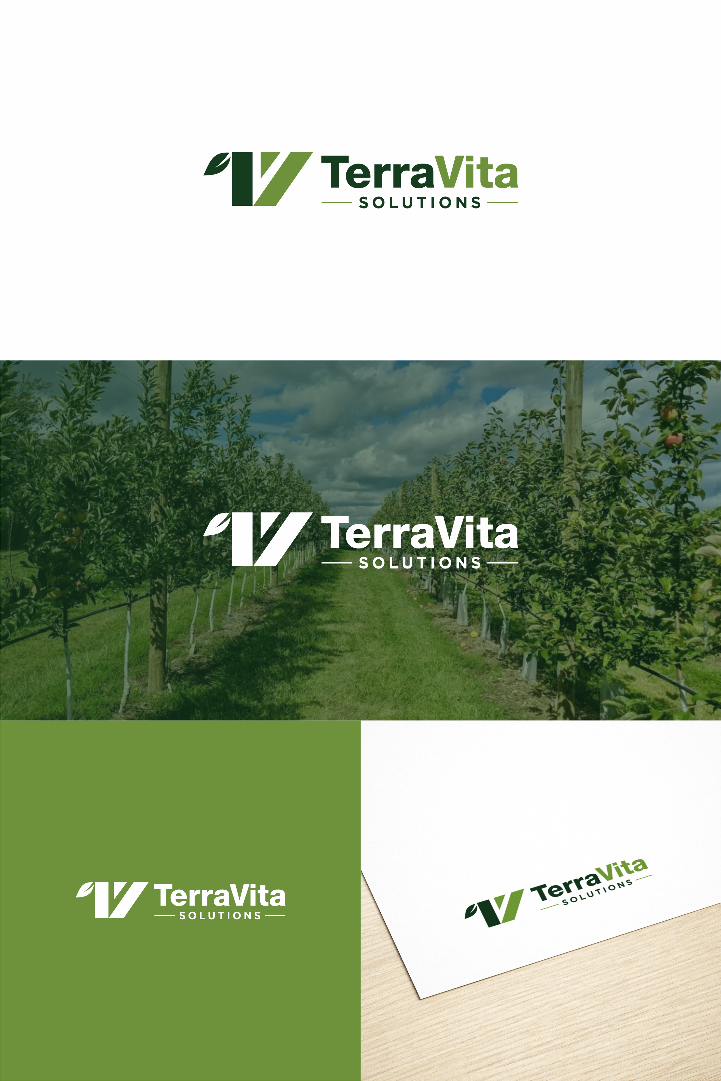 Logo Design by achil78 for TerraVita Solutions | Design #37609270