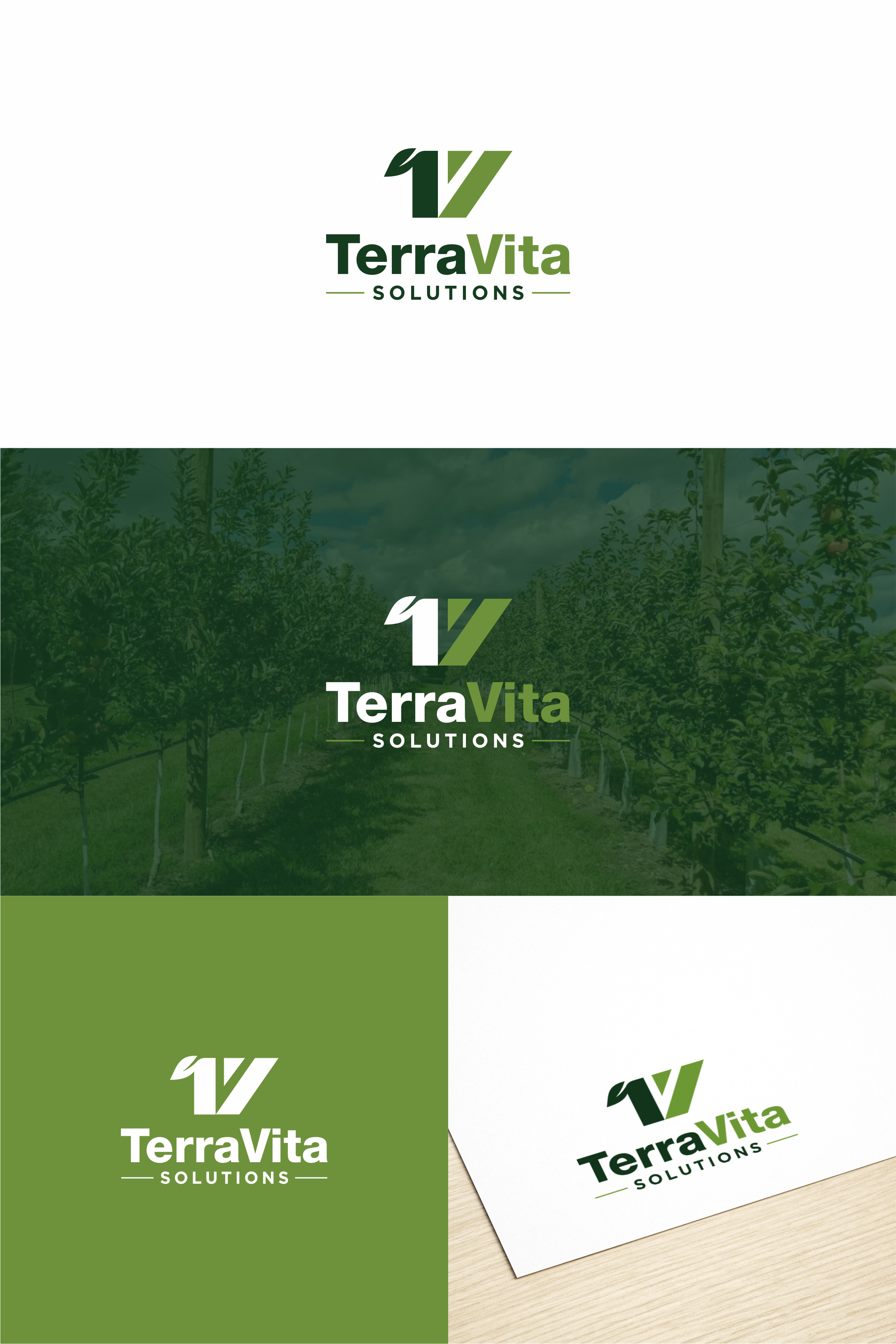 Logo Design by achil78 for TerraVita Solutions | Design #37609290
