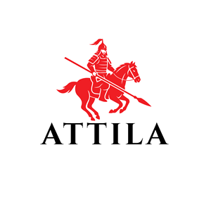 Logo Design by Asif  Maqsood