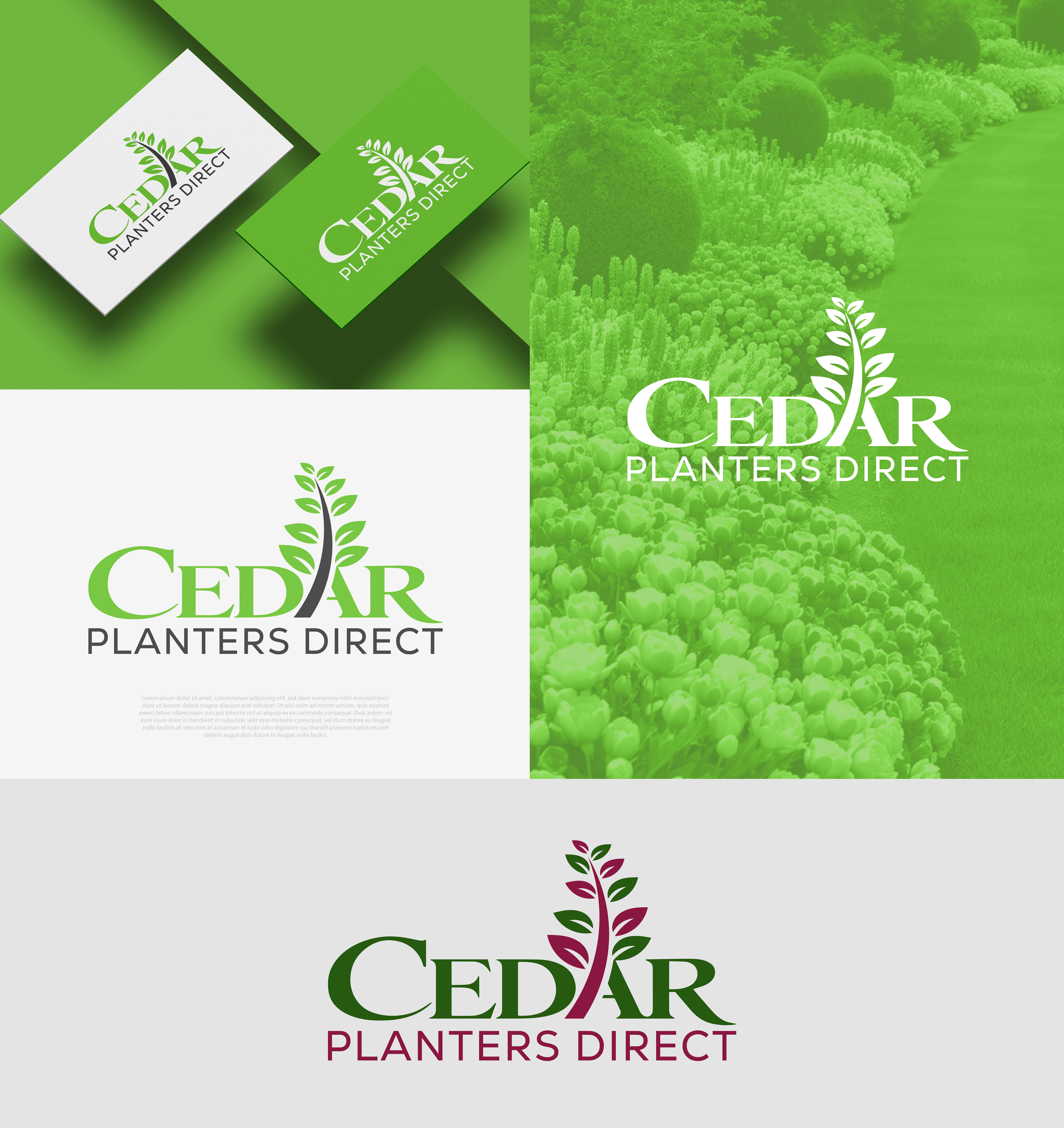 Logo Design by yellowdot for this project | Design #37624510
