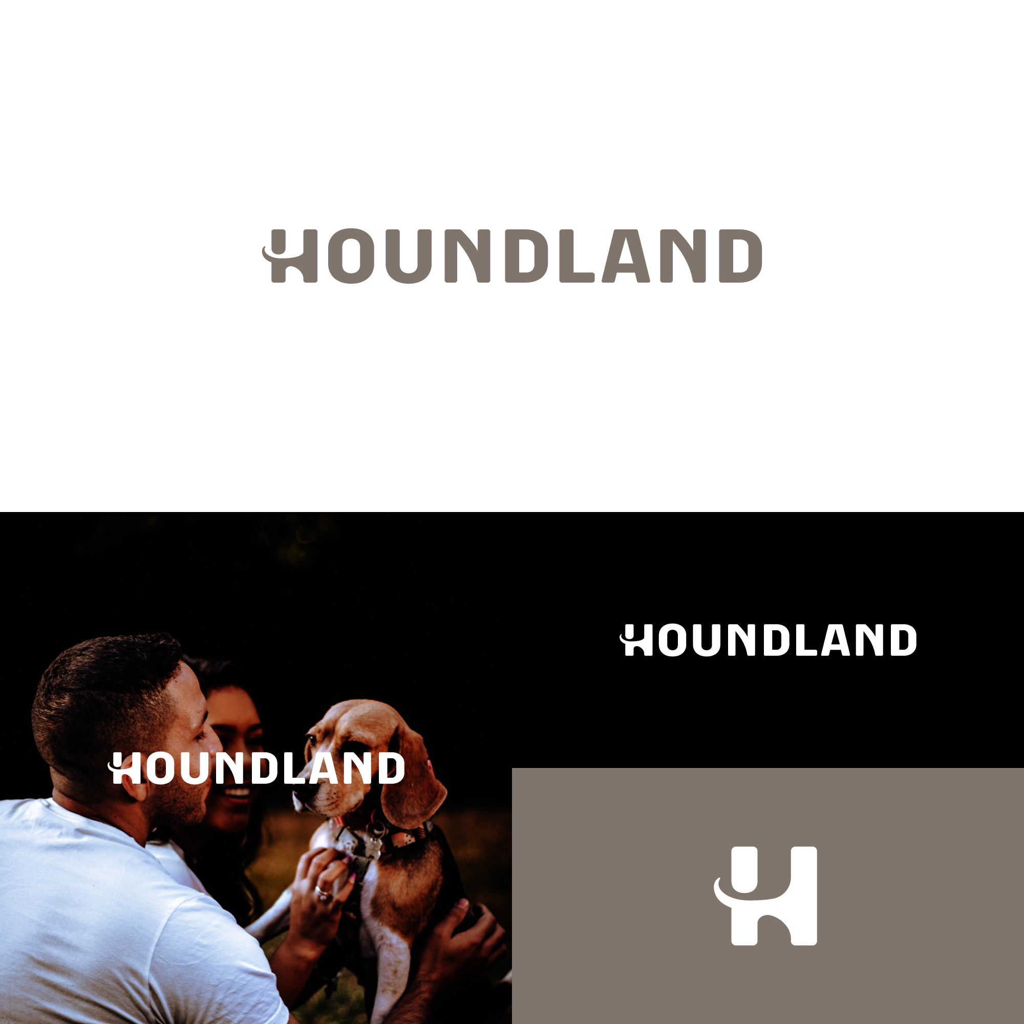 Logo Design by TenMa.Std for ltd | Design #37636159