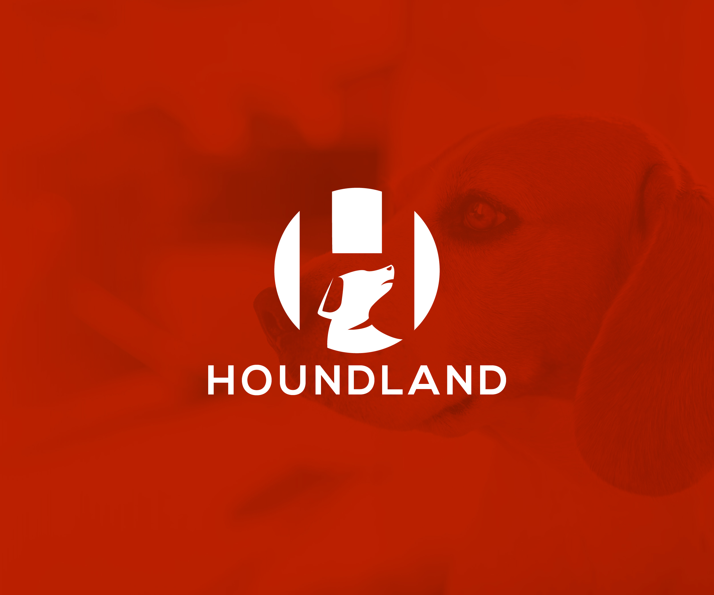 Logo Design by rastf2day for ltd | Design #37651899