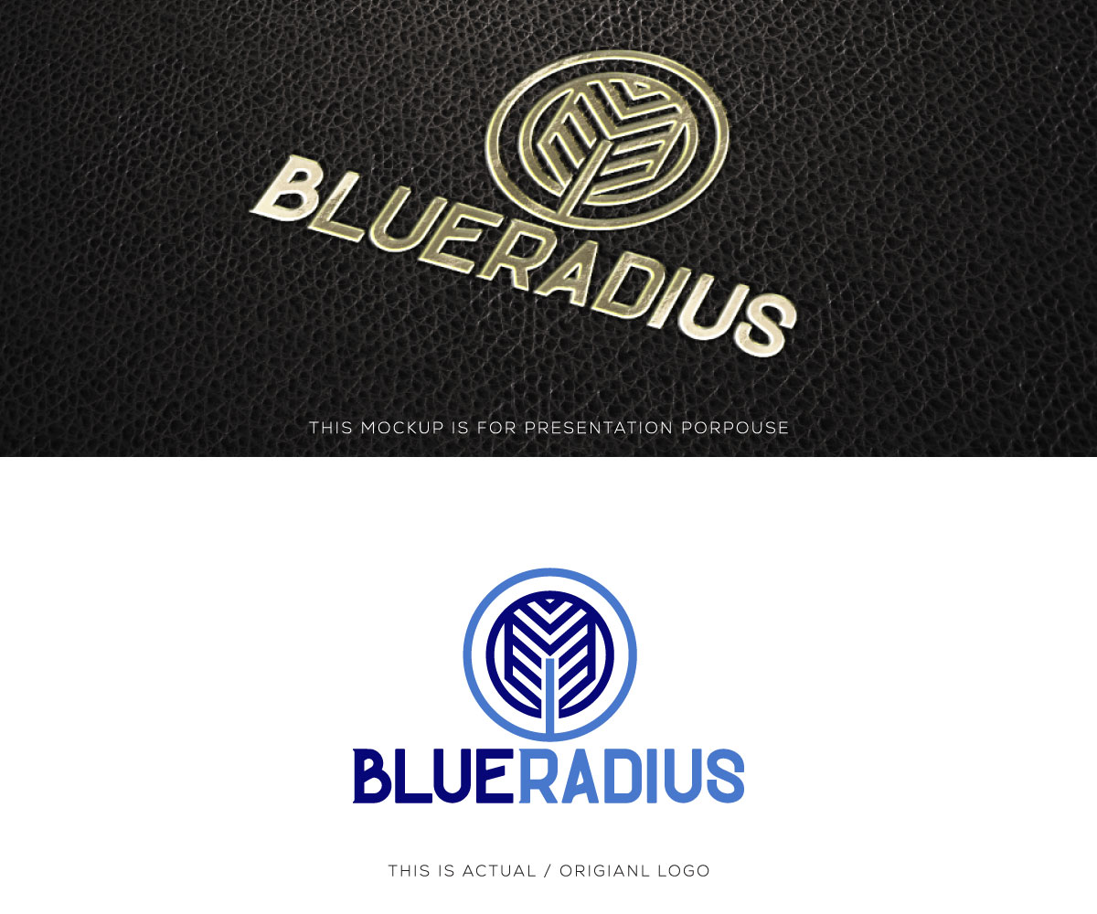 Logo Design by Ansh Design for this project | Design #37639244