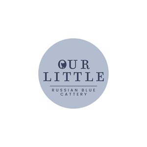 Logo Design by Franabanana for this project | Design: #37649392