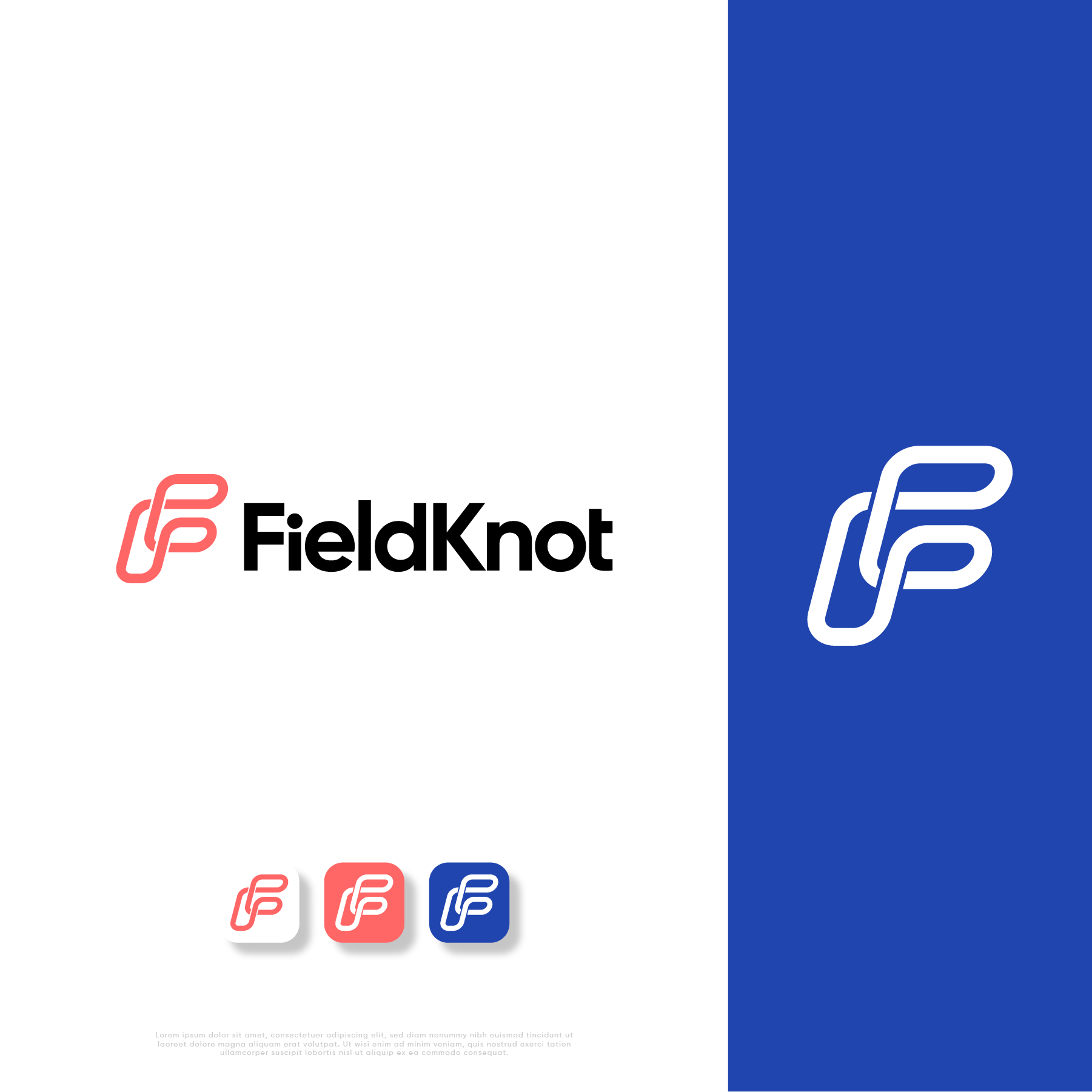 Logo Design by BluMorph for this project | Design #37665159