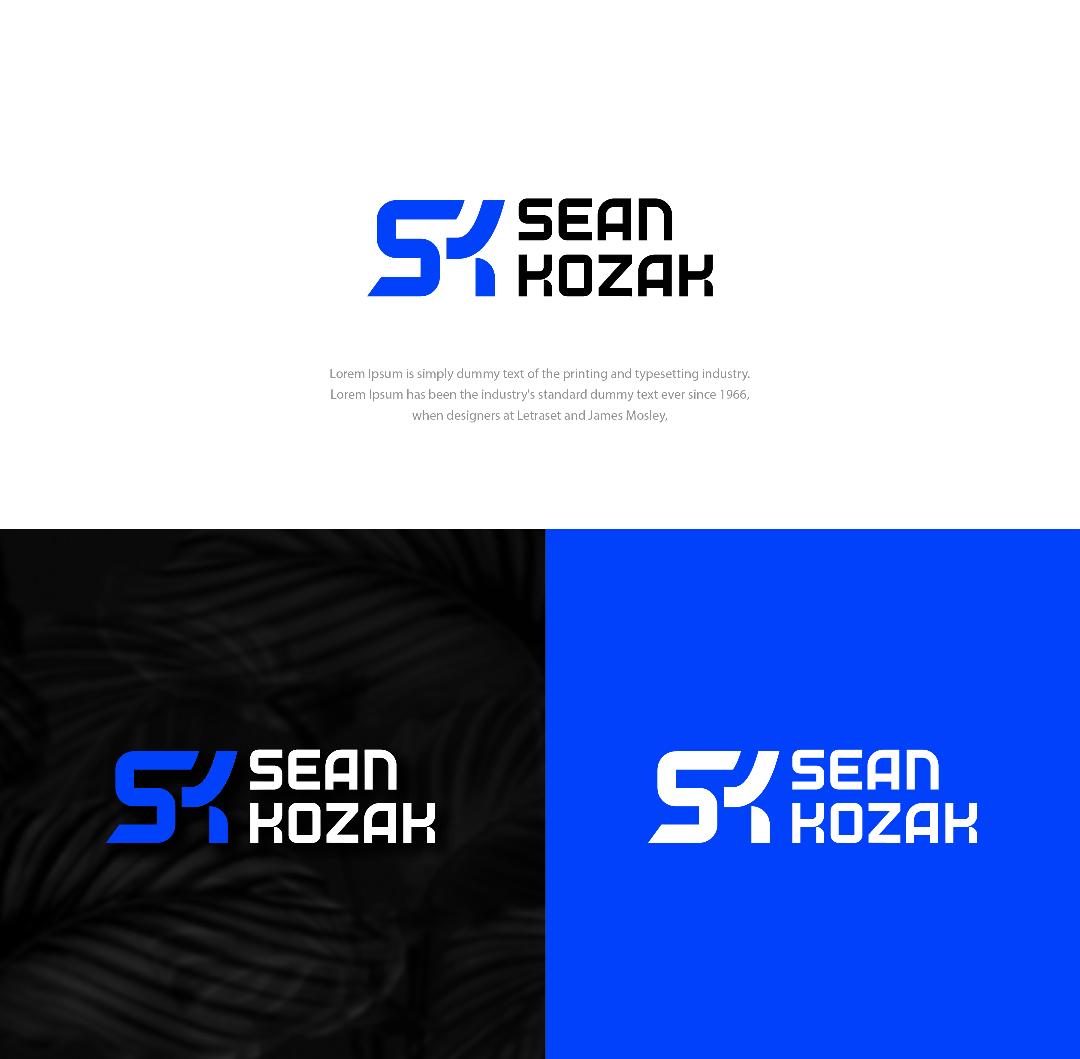 Design de Logo par Shahrukh-Creative pour ce projet | Design #37658934