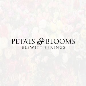 Logo Design by Designer Nayem for this project | Design: #37659772