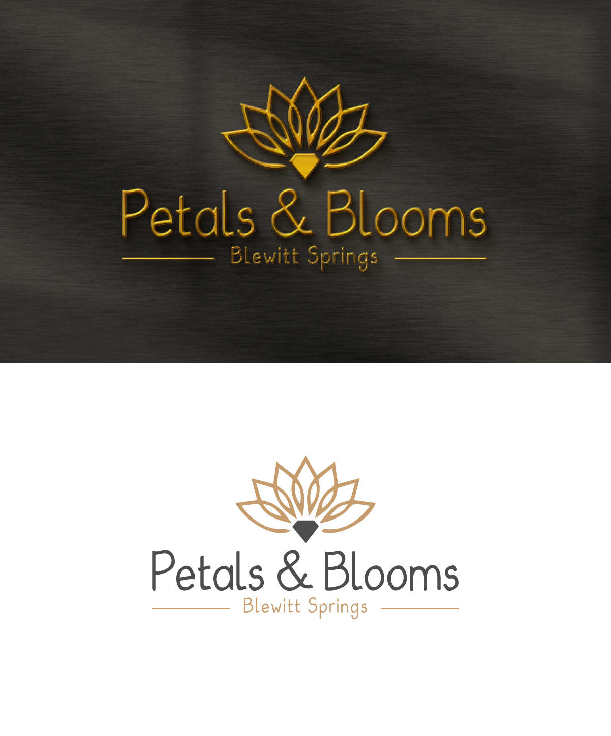 Design de Logo par JMN Signatures pour ce projet | Design #37661037