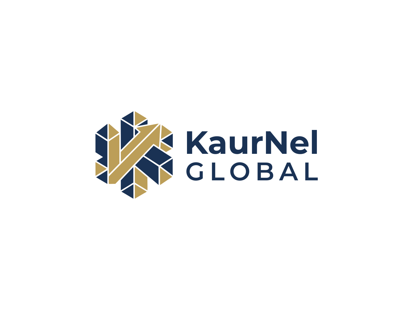 Logo Design by BNdesigner for this project | Design #37665960