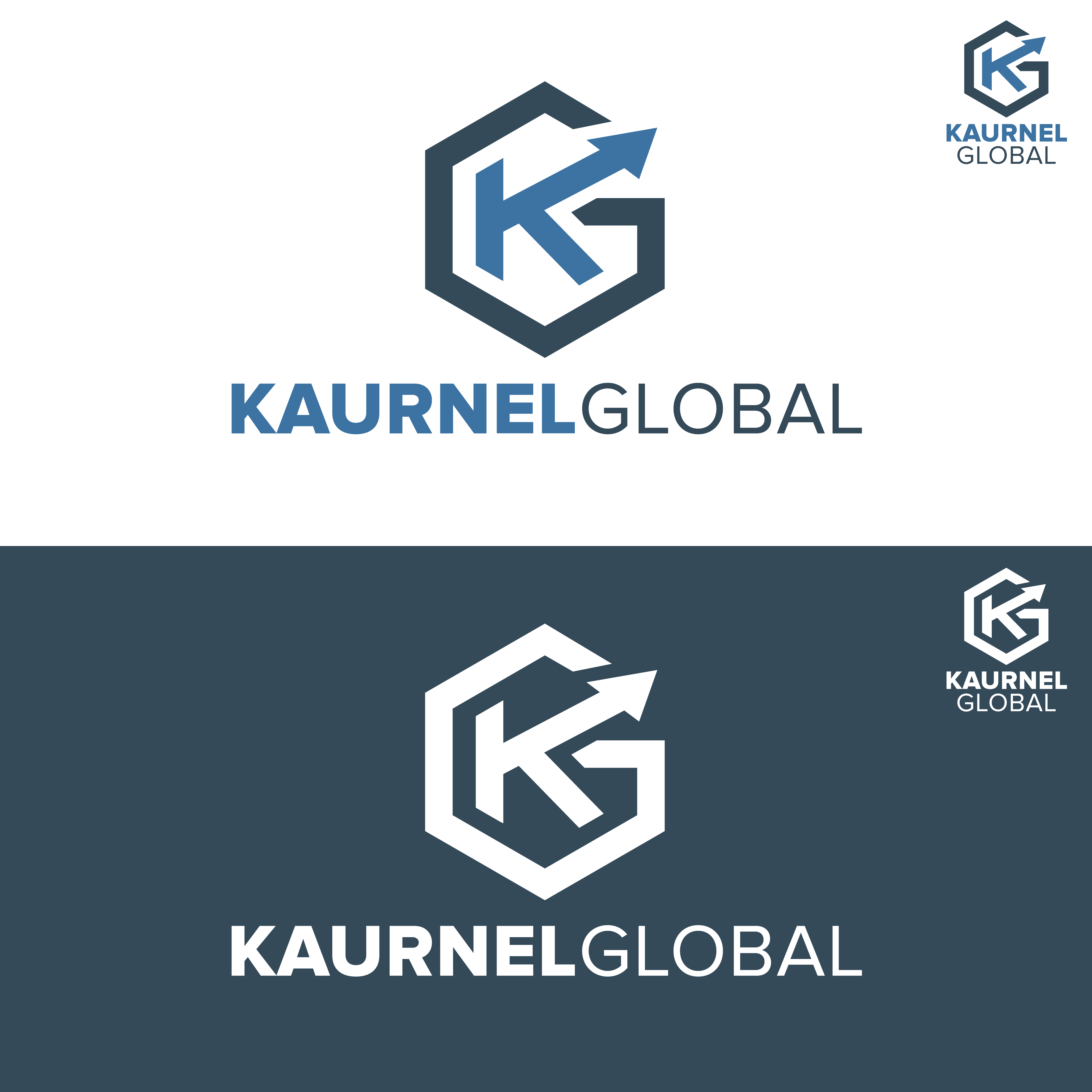 Logo Design by Freelancertinax for this project | Design #37681116