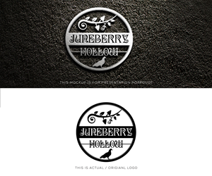 Logo Design by Ansh Design for this project | Design: #37677628
