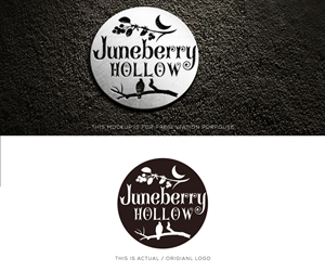 Logo Design by Ansh Design for this project | Design: #37677634