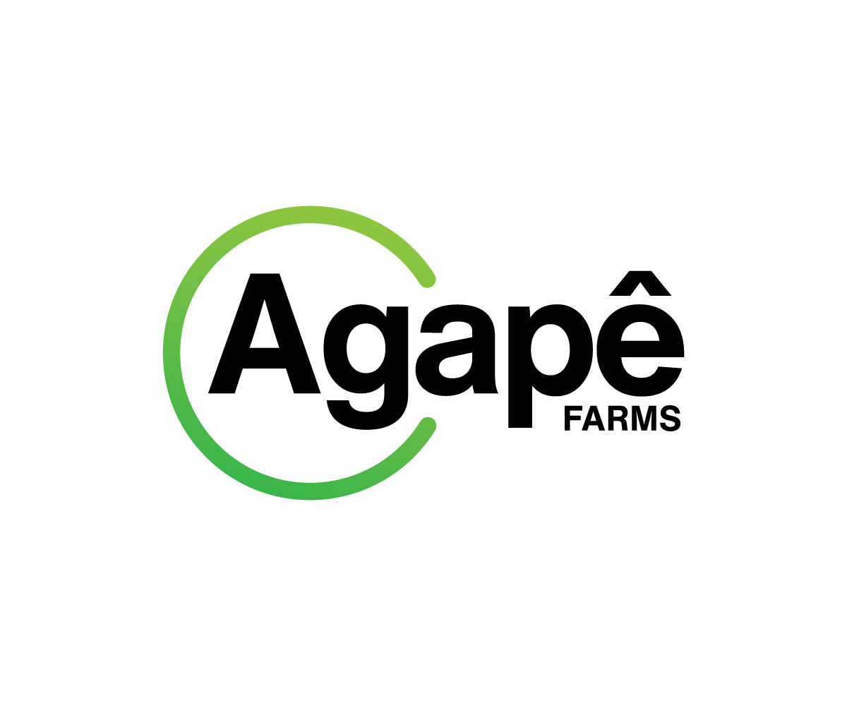 Logo Design by Adi Graphics for Agapé Physical Therapy | Design #37673164