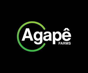 Design de Logo par Adi Graphics pour Agapé Physical Therapy | Design : #37673165