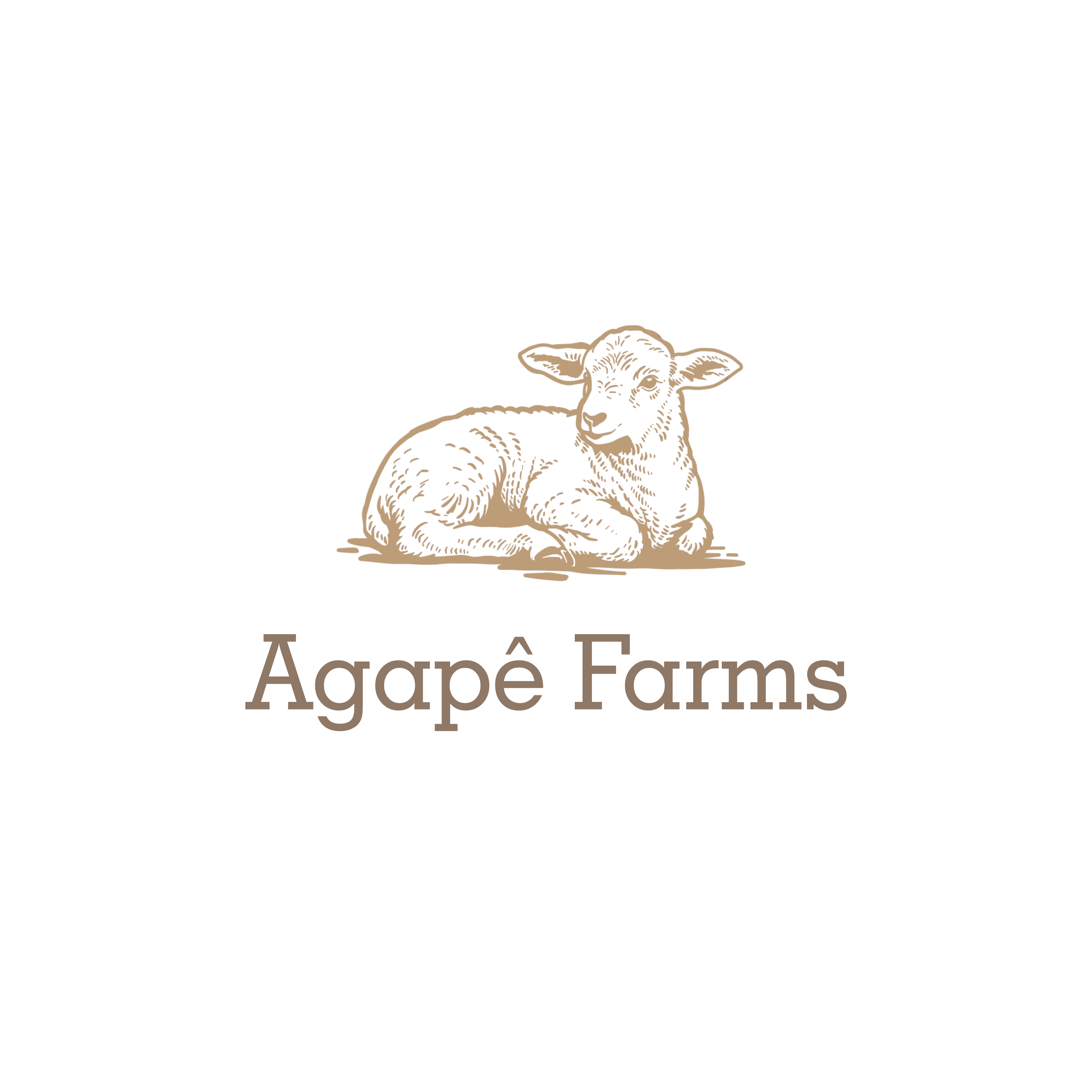 Logo Design by LUTNG. for Agapé Physical Therapy | Design #37674265