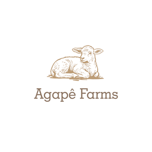 Logo Design by LUTNG. for Agapé Physical Therapy | Design: #37674265