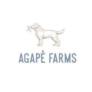Logo Design by LUTNG. for Agapé Physical Therapy | Design: #37674268