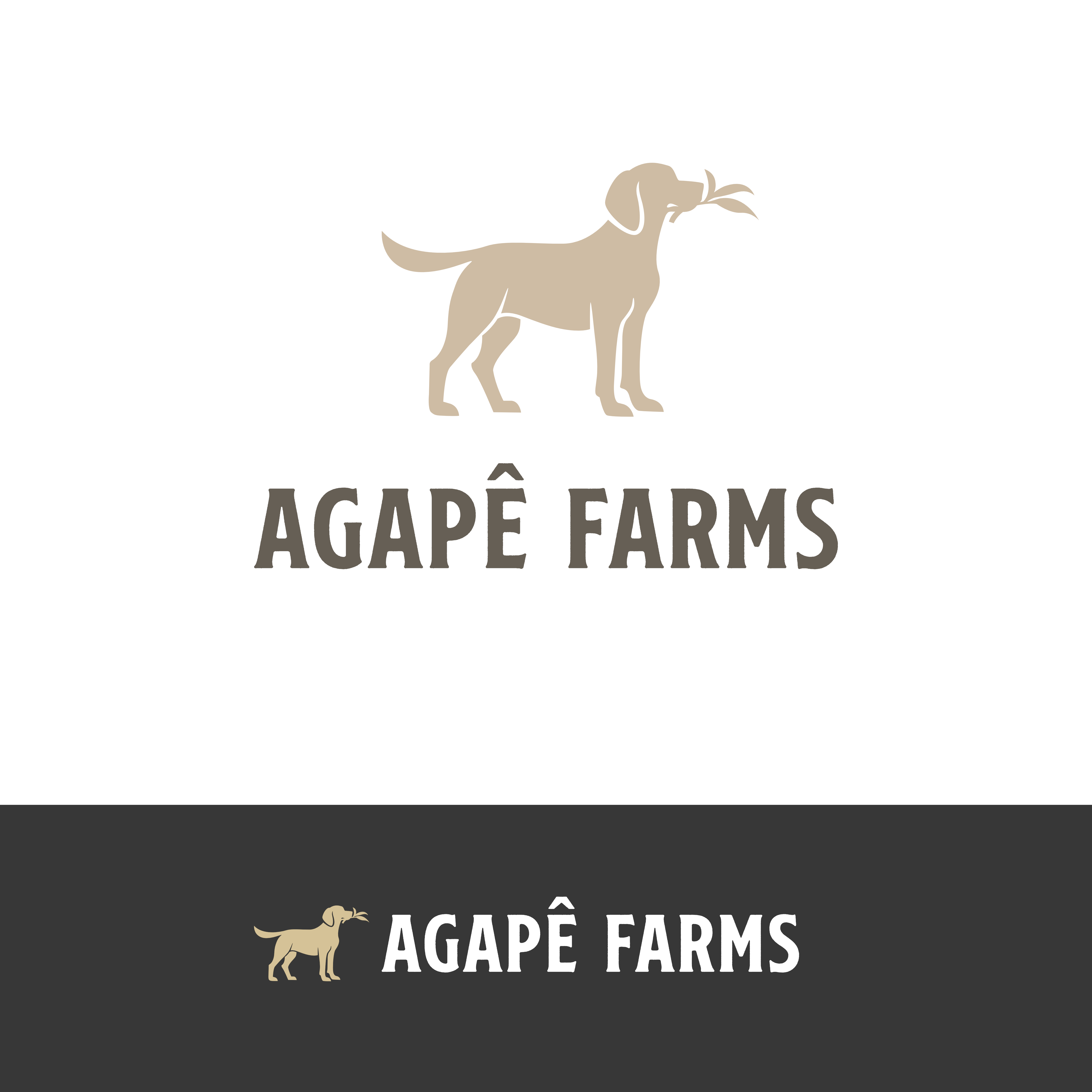 Logo Design by LUTNG. for Agapé Physical Therapy | Design #37674461