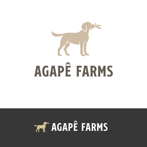 Logo Design by LUTNG. for Agapé Physical Therapy | Design: #37674461