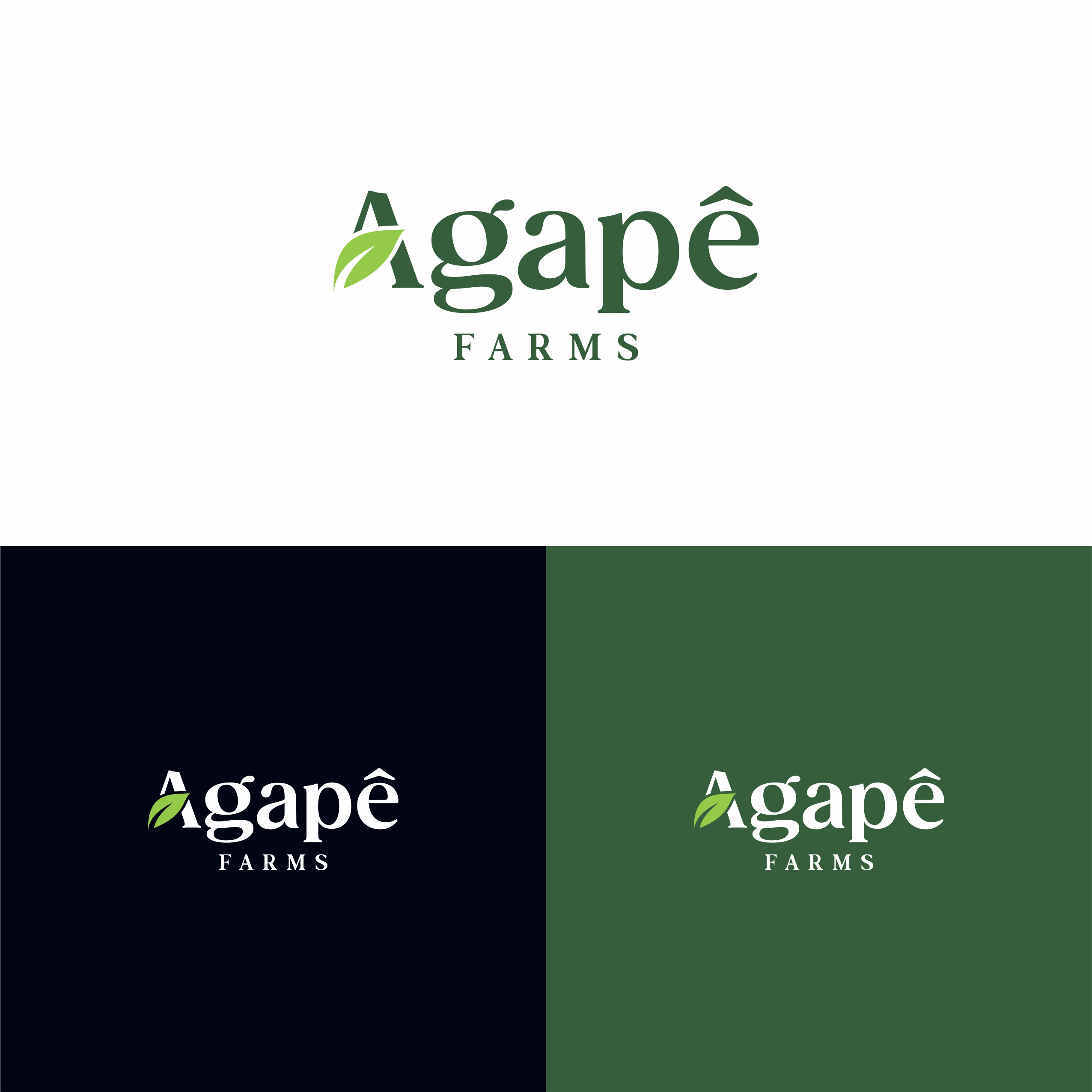 Logo Design by ndra for Agapé Physical Therapy | Design #37671347